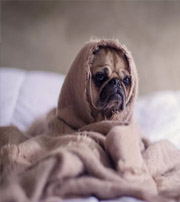 揭阳有这样的手机号码，留不住钱，你中枪了吗？