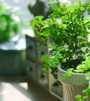 揭阳专属于你的开运指南，助你鸿运当头福满身！