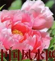 揭阳预示你财运上升，姻缘可成的梦境，快来看看吧！