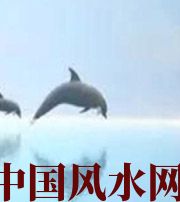 揭阳做梦梦到这些，是要富裕的征兆！